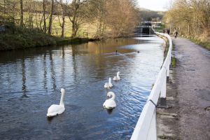 apperly bridge 2 sm.jpg